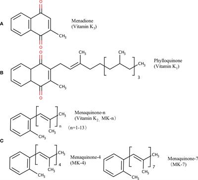 Role of Vitamin K in Intestinal Health